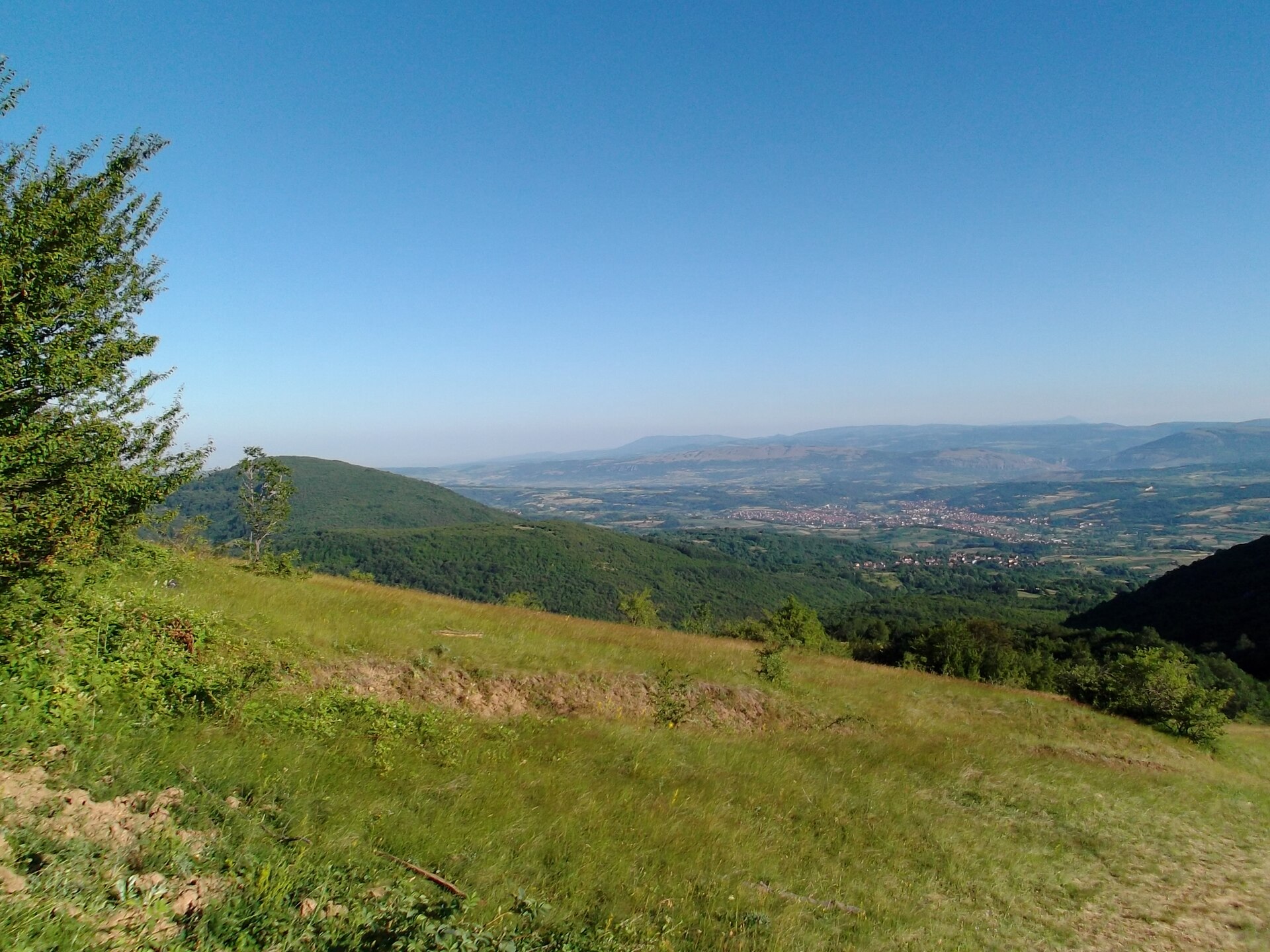 Svrljig i belmuž